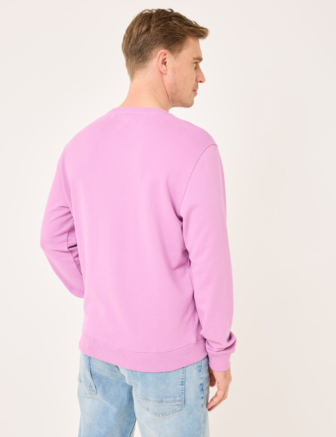 Model Back View
