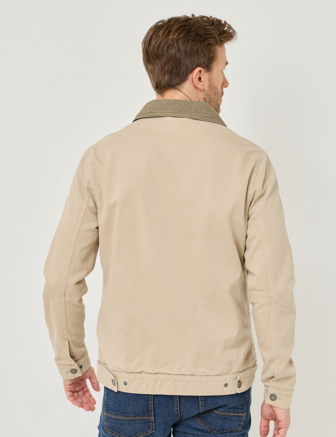 Model Back View