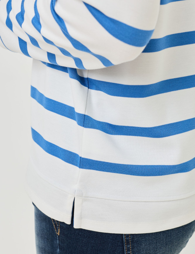 Model Detail View