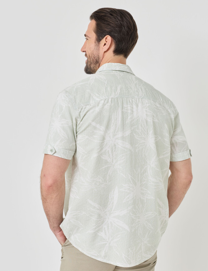 Model Back View