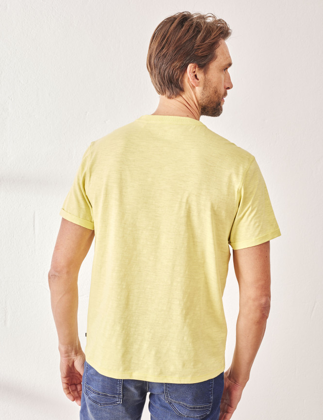 Model Back View