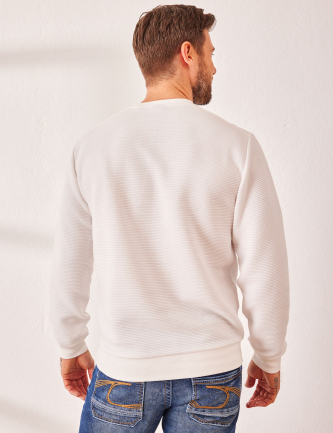 Model Back View