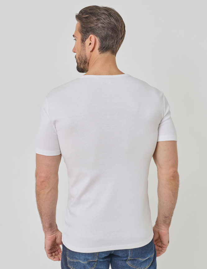 Model Back View