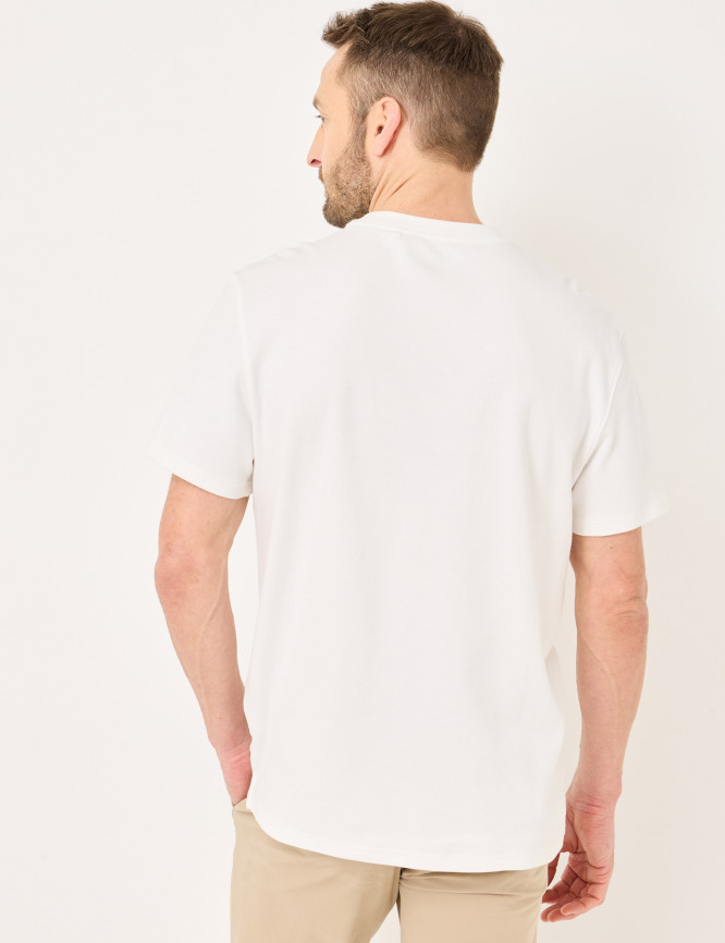 Model Back View